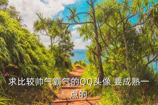 求比較帥氣霸氣的QQ頭像 要成熟一點的