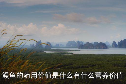鰻魚的藥用價(jià)值是什么有什么營養(yǎng)價(jià)值