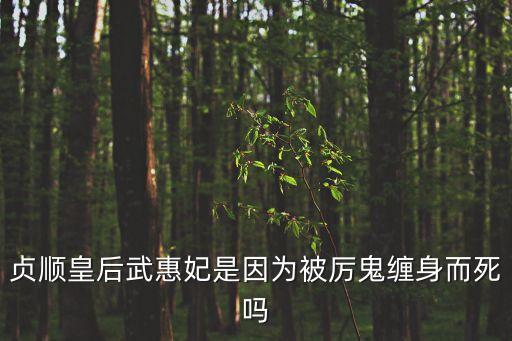 貞順皇后武惠妃是因為被厲鬼纏身而死嗎