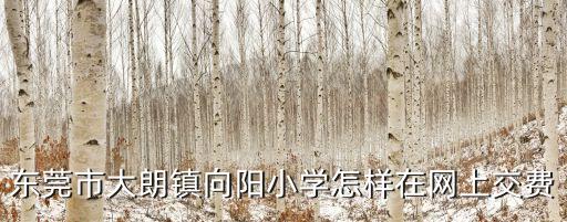 東莞市大朗鎮向陽小學怎樣在網上交費