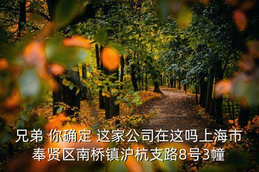 兄弟 你確定 這家公司在這嗎上海市奉賢區(qū)南橋鎮(zhèn)滬杭支路8號(hào)3幢