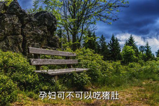 孕婦可不可以吃豬肚