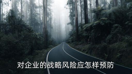 戰略風險，現階段我國面臨的戰略風險主要有哪些