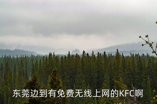 東莞邊到有免費(fèi)無(wú)線上網(wǎng)的KFC啊