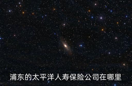 上海市周浦鎮太平人壽業務，浦東的太平洋人壽保險公司在哪里