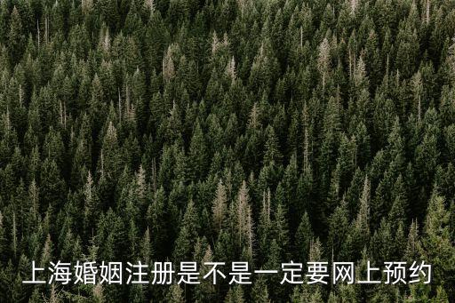 上海婚姻注冊是不是一定要網(wǎng)上預(yù)約