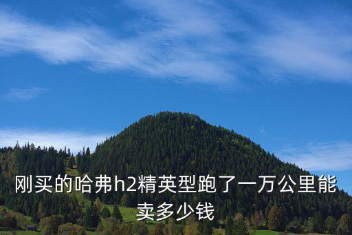 剛買的哈弗h2精英型跑了一萬公里能賣多少錢