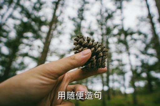 用隨便造句