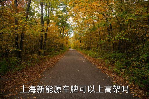 上海新能源車牌可以上高架嗎