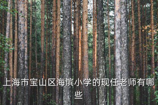 上海市寶山通河二小老師名單，上海市寶山區海濱小學的現任老師有哪些