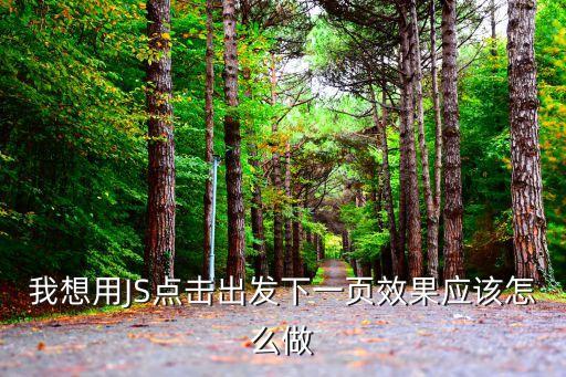 我想用JS點擊出發下一頁效果應該怎么做