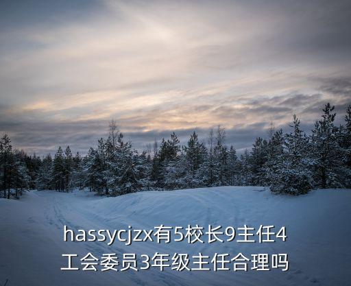 hassycjzx有5校長9主任4工會委員3年級主任合理嗎