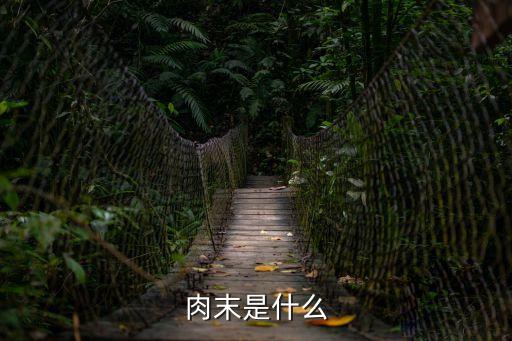 肉末是什么