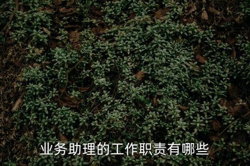 業務助理崗位職責，業務助理的工作職責有哪些