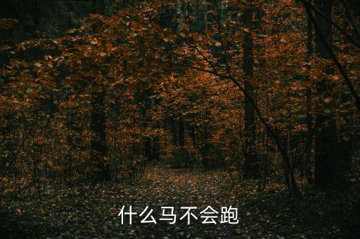什么馬不會跑，什么馬不會跑腦筋急轉(zhuǎn)彎