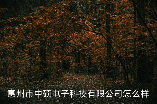 東莞市中碩科技，惠州市中碩電子科技有限公司怎么樣