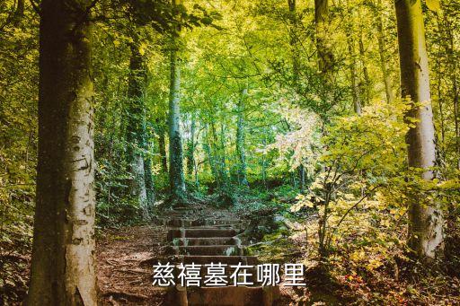 慈禧墓，慈禧太后的陵墓