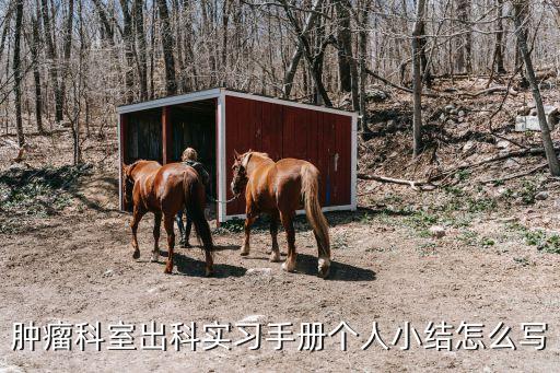 腫瘤科出科小結，腫瘤科室出科實習手冊個人小結怎么寫