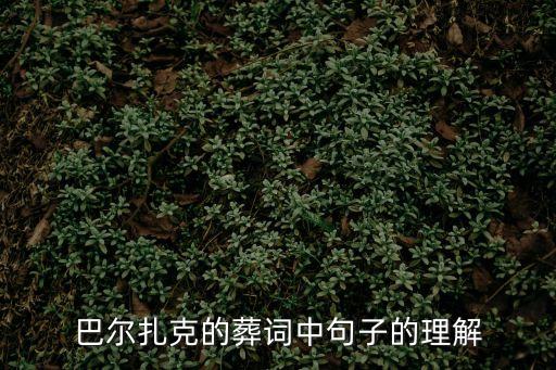 巴爾扎克葬詞，巴爾扎克葬詞是誰發表的