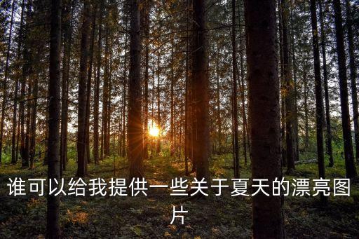 夏季圖片，08年夏季時尚搭配圖地址