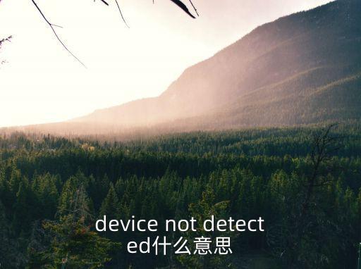 device not detected什么意思