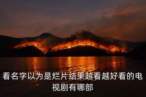看名字以為是爛片結果越看越好看的電視劇有哪部