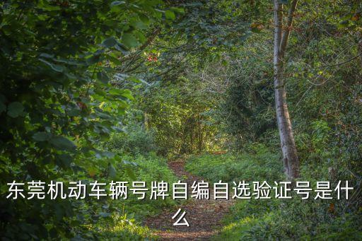 東莞機動車輛號牌自編自選驗證號是什么