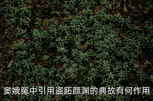 竇娥冤中引用盜跖顏淵的典故有何作用
