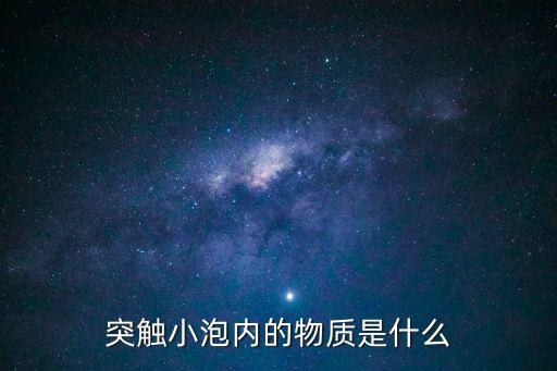 突觸小泡，突觸小泡的產(chǎn)生主要是由什么細胞器來完成