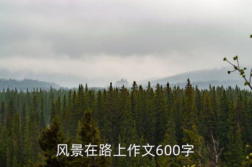 風景在路上作文600字，請以風景在路上為題寫一篇600字的作文