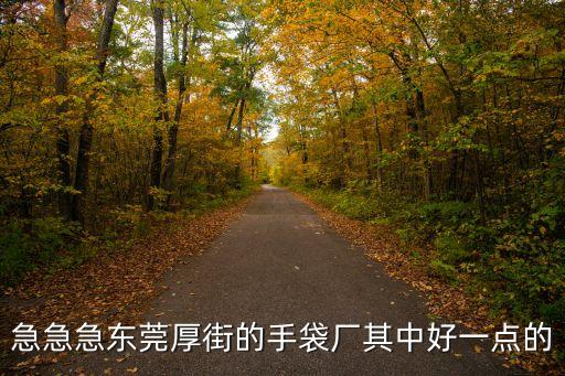 急急急東莞厚街的手袋廠其中好一點的