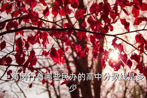 上海閔行有哪些民辦的高中分數線是多少