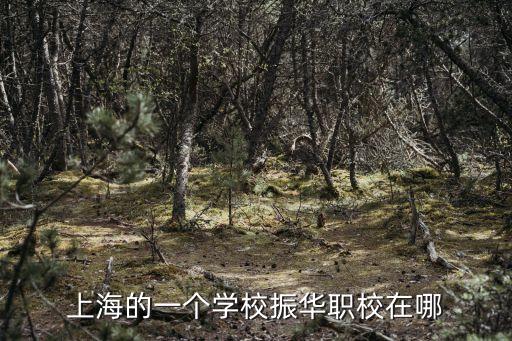 上海的一個學校振華職校在哪