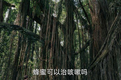 蜂蜜可以治咳嗽嗎
