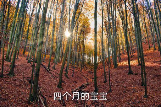 四個月的寶寶