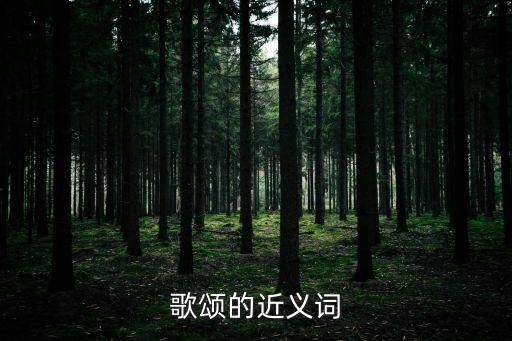 歌頌的近義詞