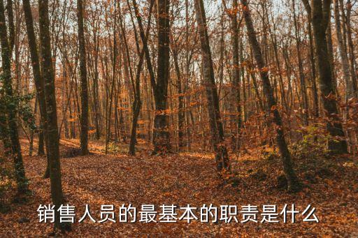銷售人員的最基本的職責是什么