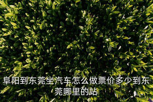 阜陽到東莞汽車車票多少錢一張，阜陽到東莞坐汽車怎么做票價多少到東莞哪里的站