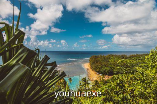 youhuaexe
