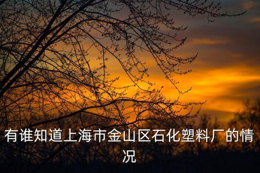 有誰知道上海市金山區石化塑料廠的情況
