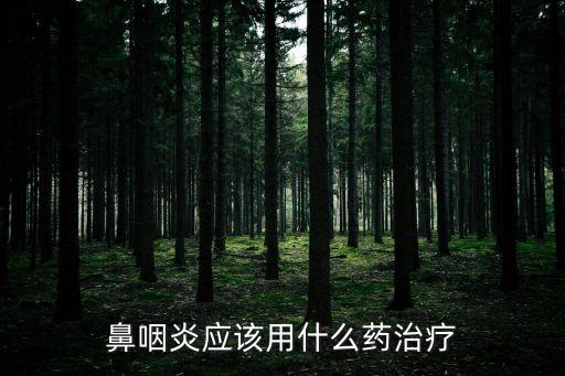 鼻咽炎應(yīng)該用什么藥治療