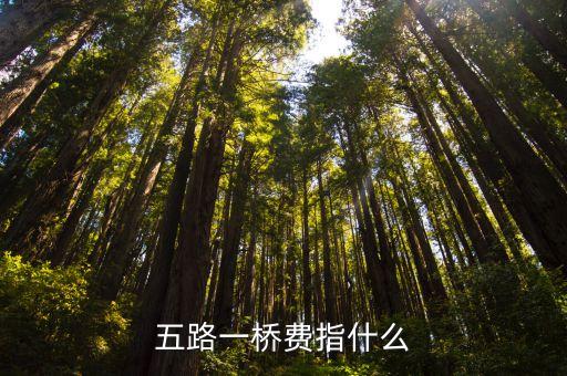 五路一橋費指什么