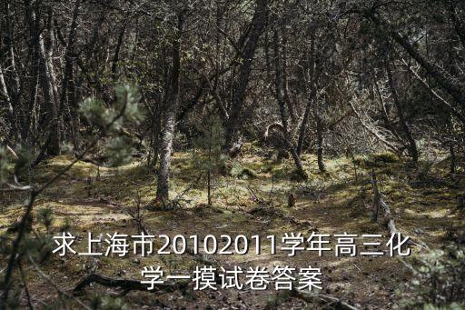 求上海市20102011學年高三化學一摸試卷答案
