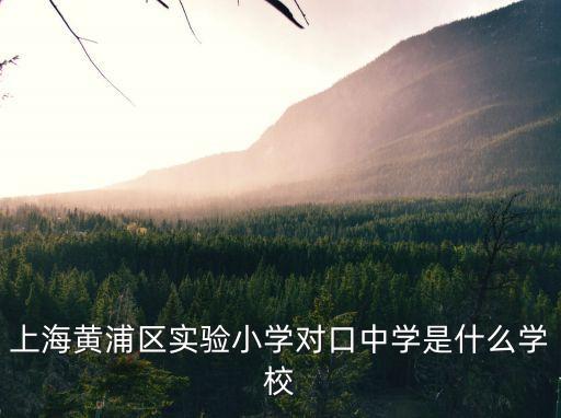 上海黃浦區(qū)實驗小學(xué)對口中學(xué)是什么學(xué)校