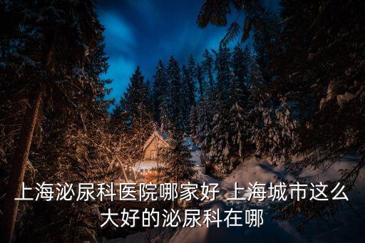 上海泌尿科醫院哪家好 上海城市這么大好的泌尿科在哪