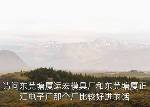 請(qǐng)問(wèn)東莞塘廈運(yùn)宏模具廠和東莞塘廈正匯電子廠那個(gè)廠比較好進(jìn)的話