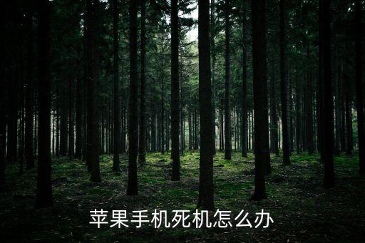 蘋果死機，iPhone死機了怎么辦