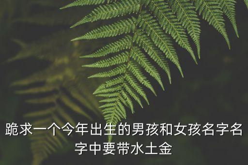 跪求一個(gè)今年出生的男孩和女孩名字名字中要帶水土金