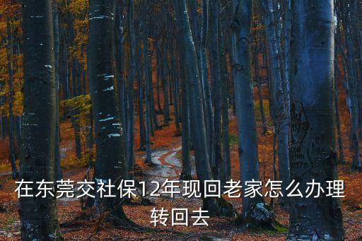 在東莞交社保12年現回老家怎么辦理轉回去