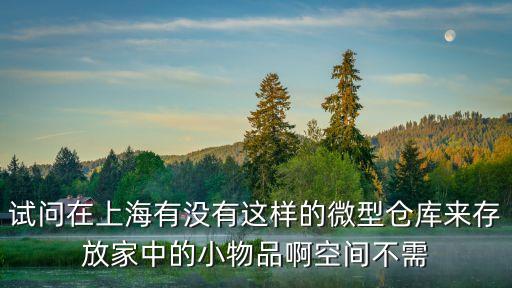 試問在上海有沒有這樣的微型倉庫來存放家中的小物品啊空間不需